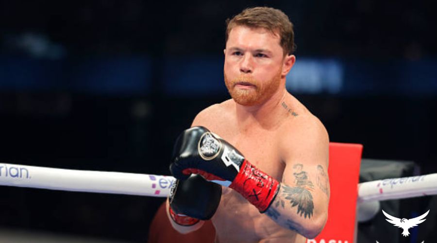 Canelo Álvarez Net Worth